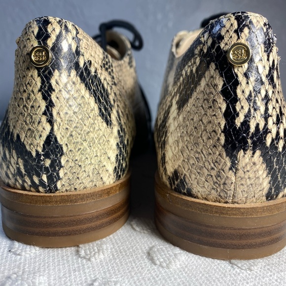 COLE HAAN Modern Classic Oxford - Python Printed Leather - Picture 6 of 16
